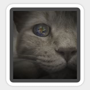 Cat's Eye World Sticker